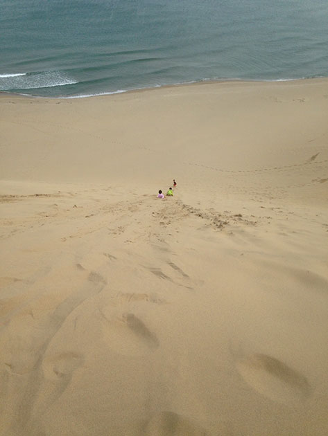砂丘を下る